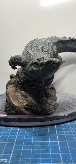 Vue supplémentaire 1 de American Alligator