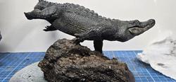 Vue supplémentaire 3 de American Alligator