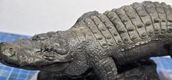 Vue supplémentaire 4 de American Alligator