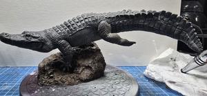 Image pour American Alligator