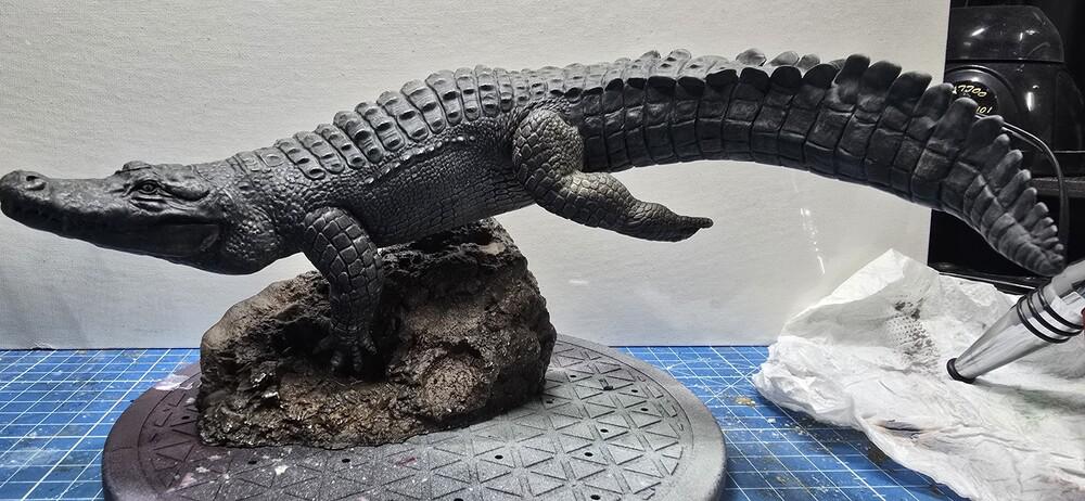 American Alligator