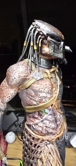 Vue supplémentaire 5 de Predator