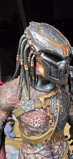 Vue supplémentaire 7 de Predator