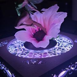 TinkerBell - Vue supplémentaire 4